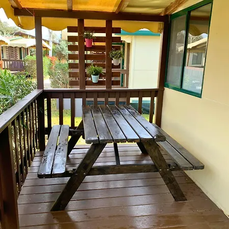 Comfortabele Familie Chalets Met Veranda Incl Airco Dichtbij Zee! Viareggio Exterior photo